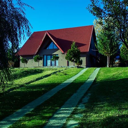 Guesthouse Vila Melisa Răsvadu de Sus Εξωτερικό φωτογραφία