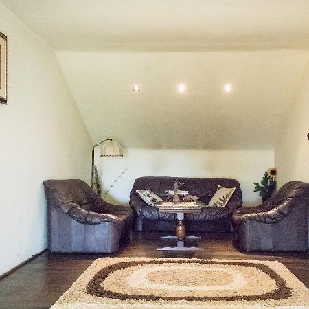 Guesthouse Vila Melisa Răsvadu de Sus Εξωτερικό φωτογραφία