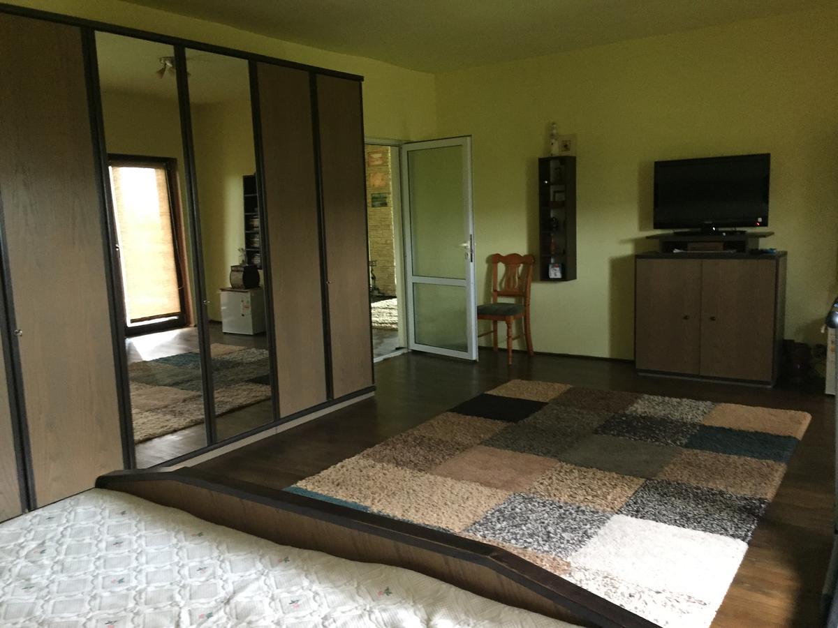 Guesthouse Vila Melisa Răsvadu de Sus Εξωτερικό φωτογραφία