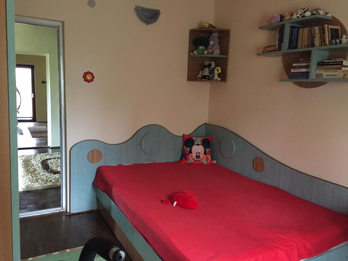 Guesthouse Vila Melisa Răsvadu de Sus Εξωτερικό φωτογραφία