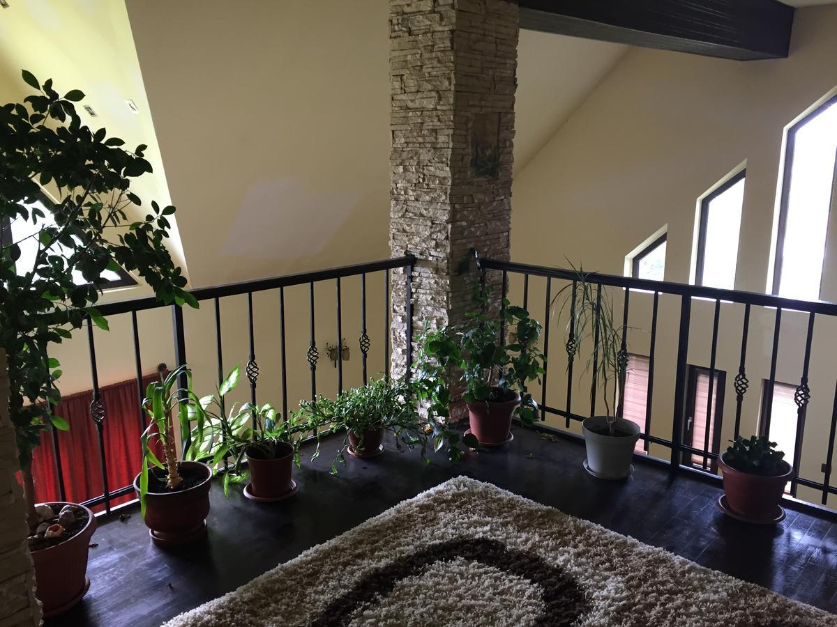 Guesthouse Vila Melisa Răsvadu de Sus Εξωτερικό φωτογραφία