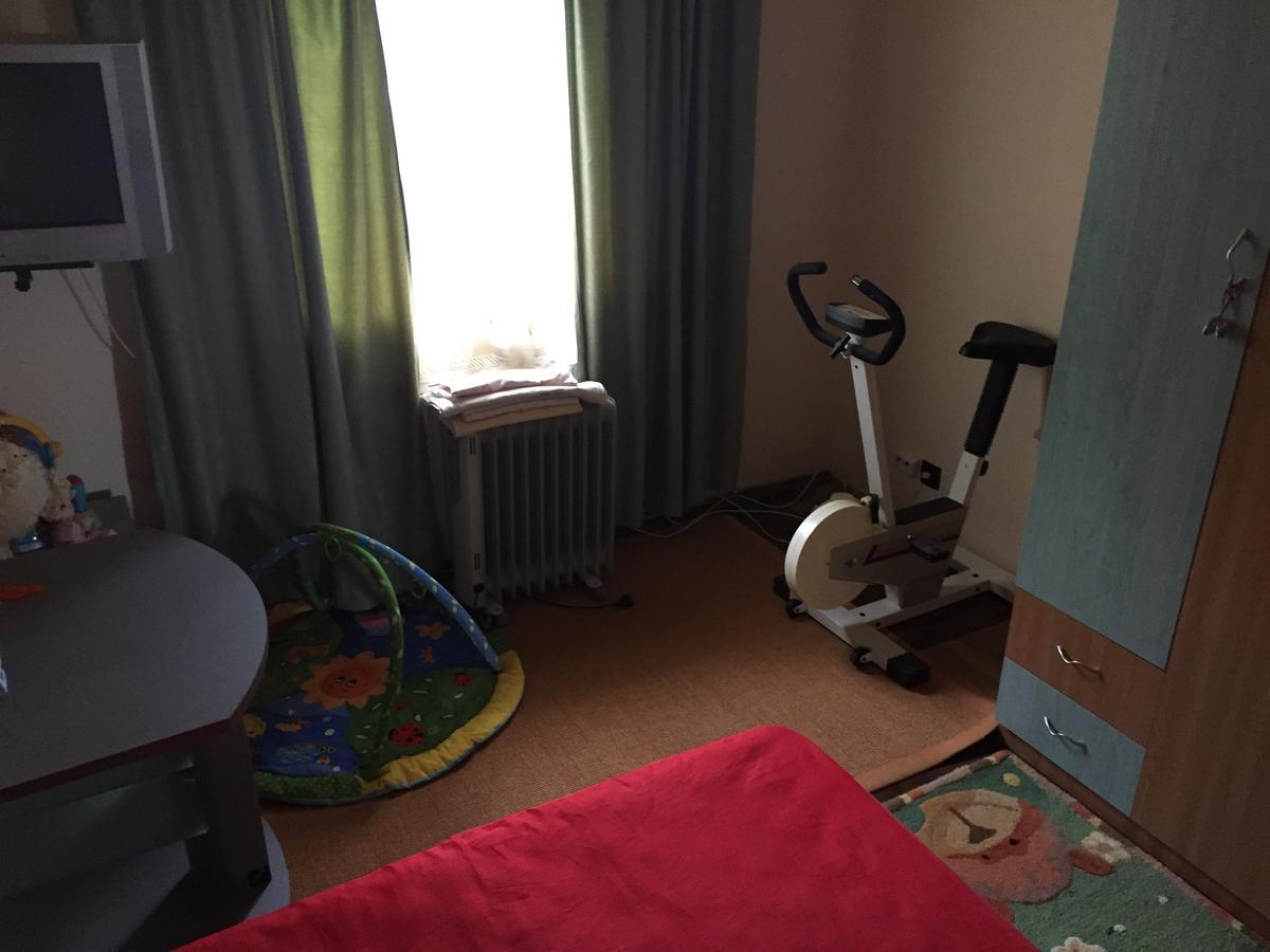 Guesthouse Vila Melisa Răsvadu de Sus Εξωτερικό φωτογραφία