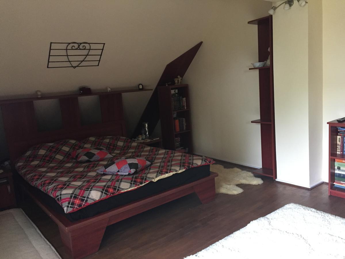 Guesthouse Vila Melisa Răsvadu de Sus Εξωτερικό φωτογραφία