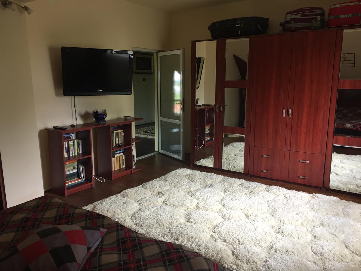 Guesthouse Vila Melisa Răsvadu de Sus Εξωτερικό φωτογραφία