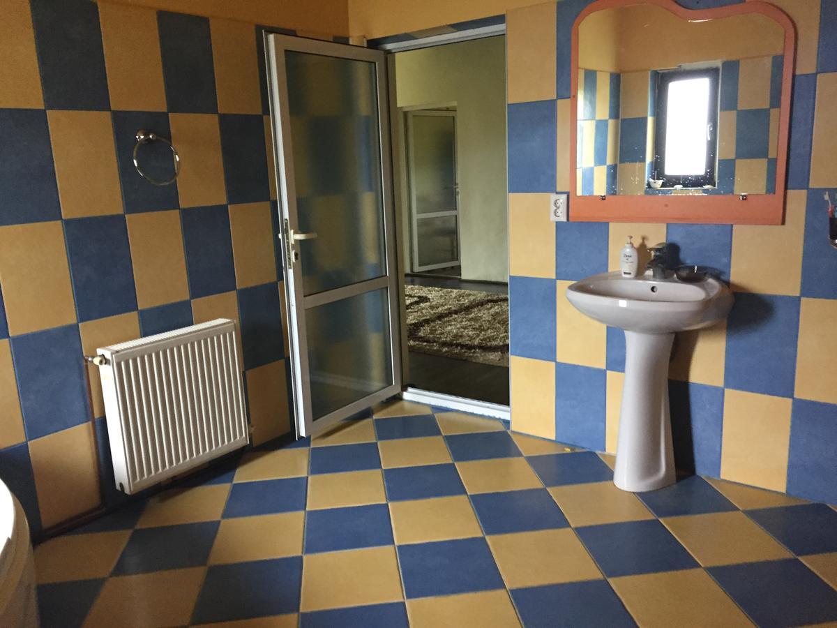 Guesthouse Vila Melisa Răsvadu de Sus Εξωτερικό φωτογραφία