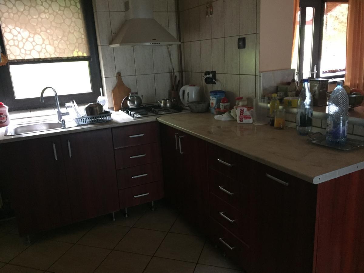 Guesthouse Vila Melisa Răsvadu de Sus Εξωτερικό φωτογραφία