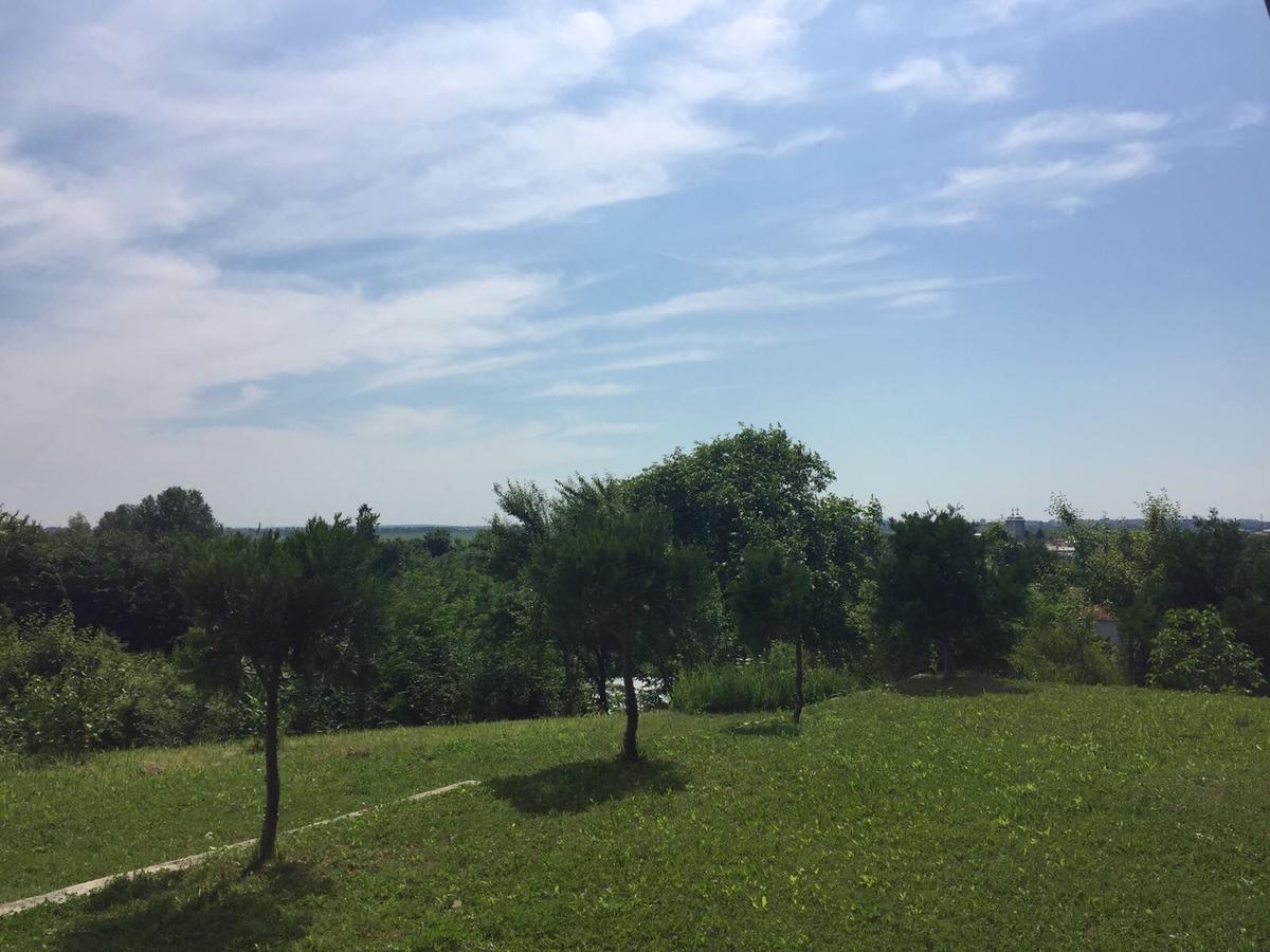 Guesthouse Vila Melisa Răsvadu de Sus Εξωτερικό φωτογραφία