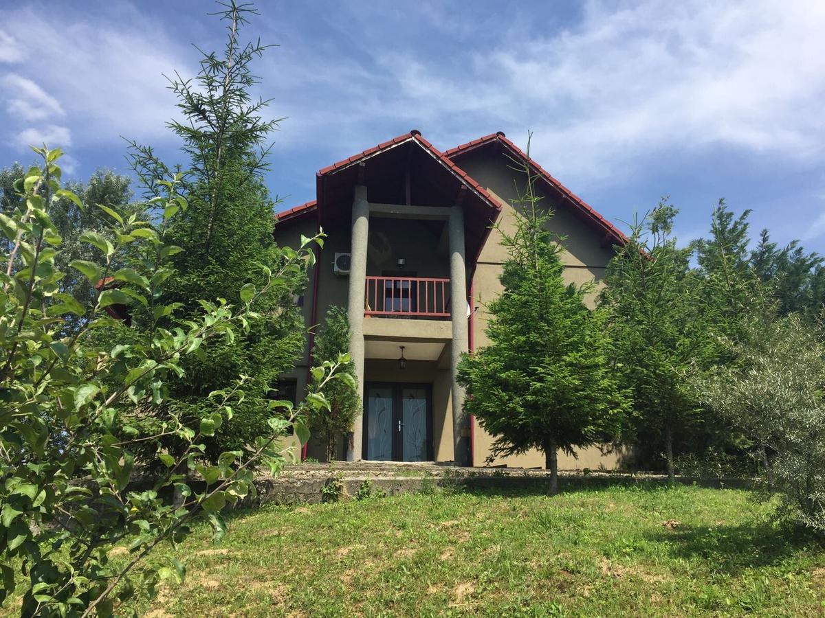 Guesthouse Vila Melisa Răsvadu de Sus Εξωτερικό φωτογραφία