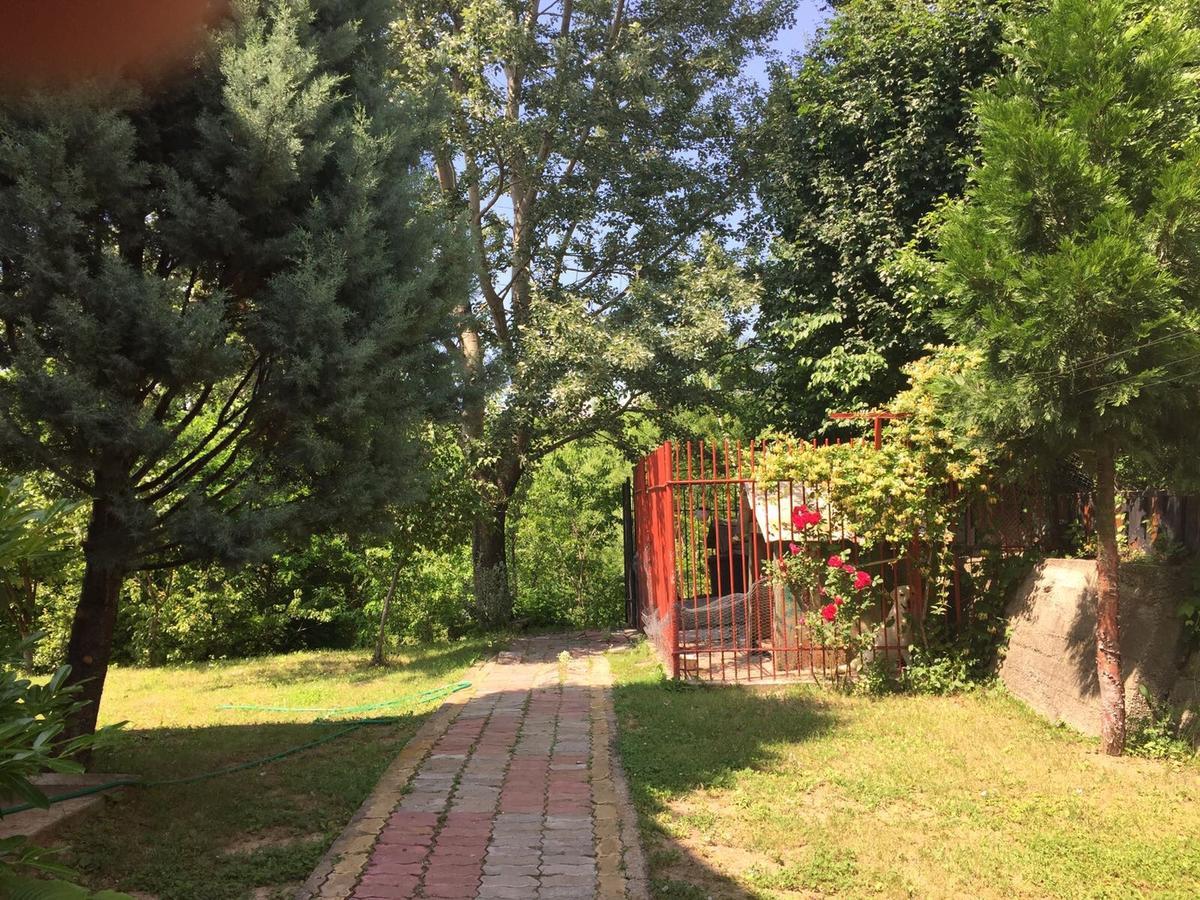 Guesthouse Vila Melisa Răsvadu de Sus Εξωτερικό φωτογραφία