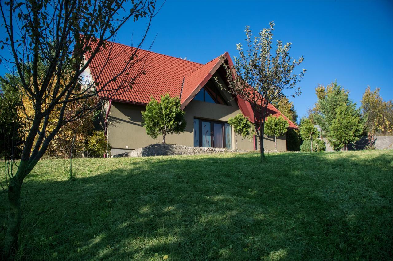 Guesthouse Vila Melisa Răsvadu de Sus Εξωτερικό φωτογραφία