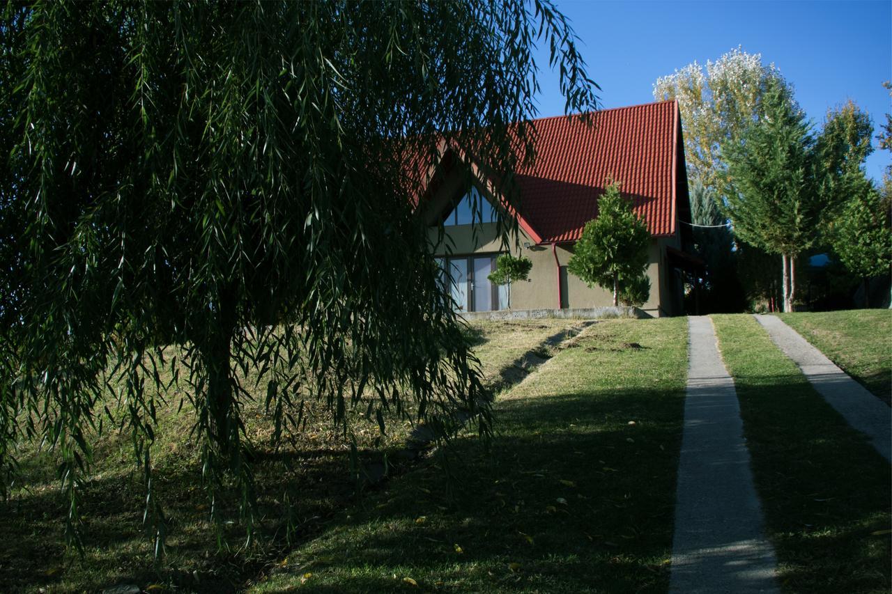 Guesthouse Vila Melisa Răsvadu de Sus Εξωτερικό φωτογραφία