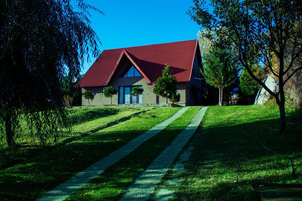 Guesthouse Vila Melisa Răsvadu de Sus Εξωτερικό φωτογραφία